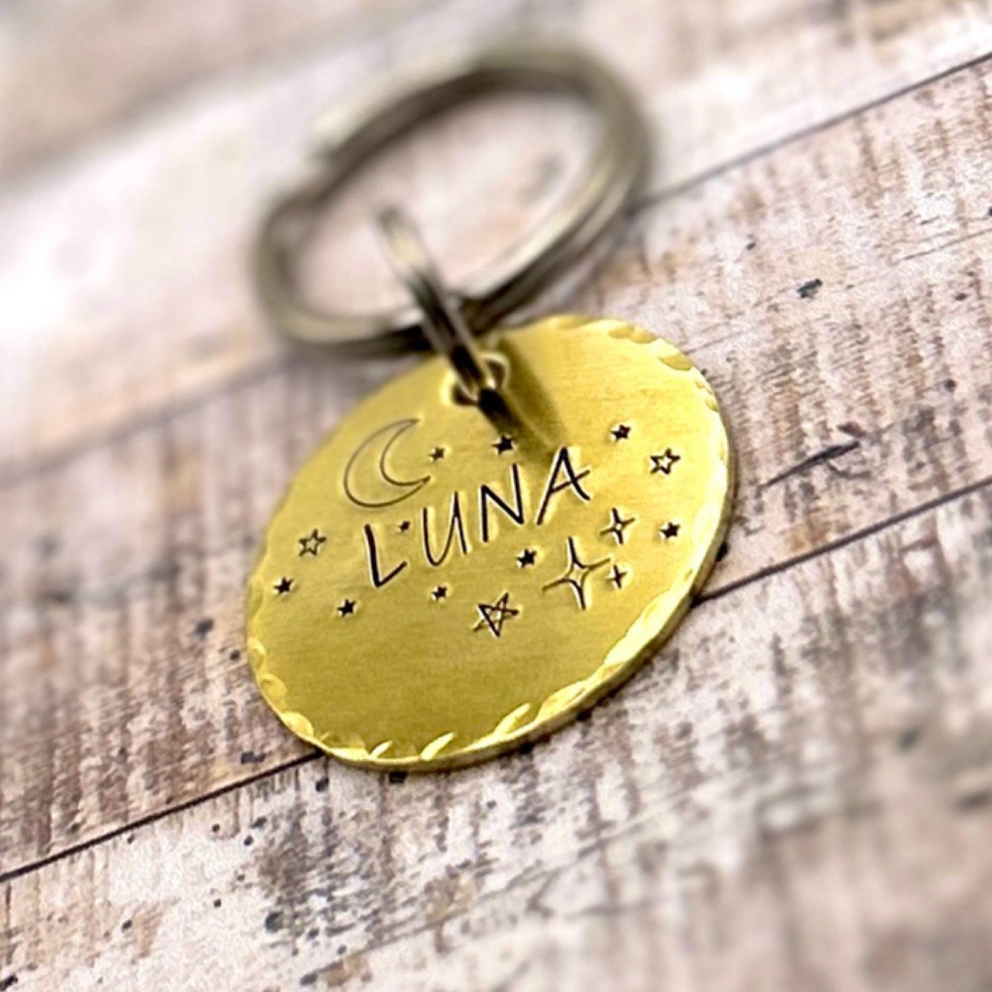 Médaille Personnalisé pour Chien, Médaille Or Chien, Lune et Étoiles