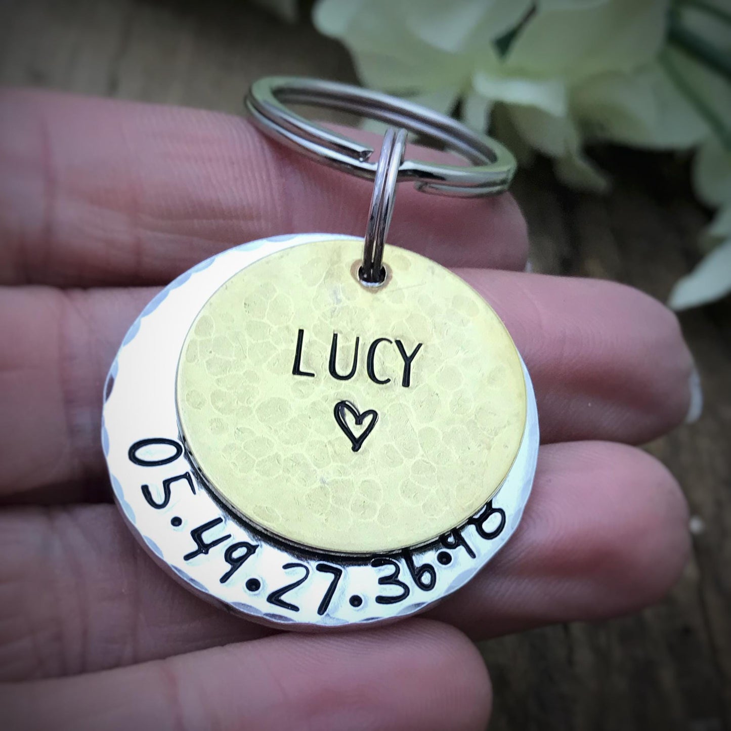 Médaille pour Chien Personnalisée, Médaille Gravée, Médaille d'Identité Chien