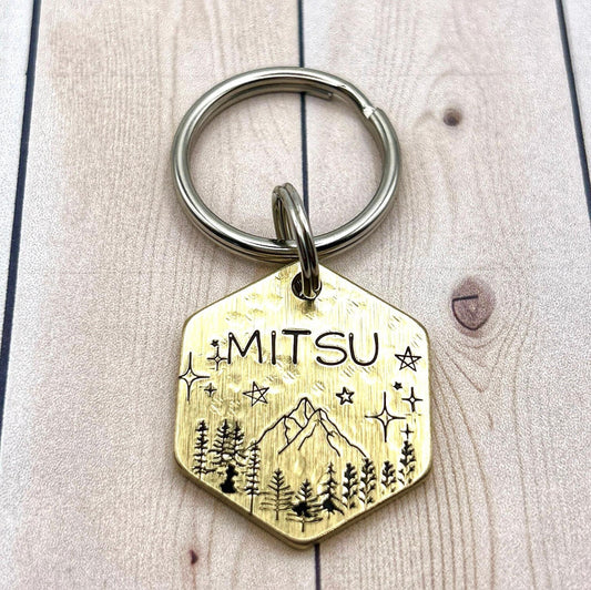 Personalized Dog Tag, Brass Dog Tag, Hexagon Dog Tag