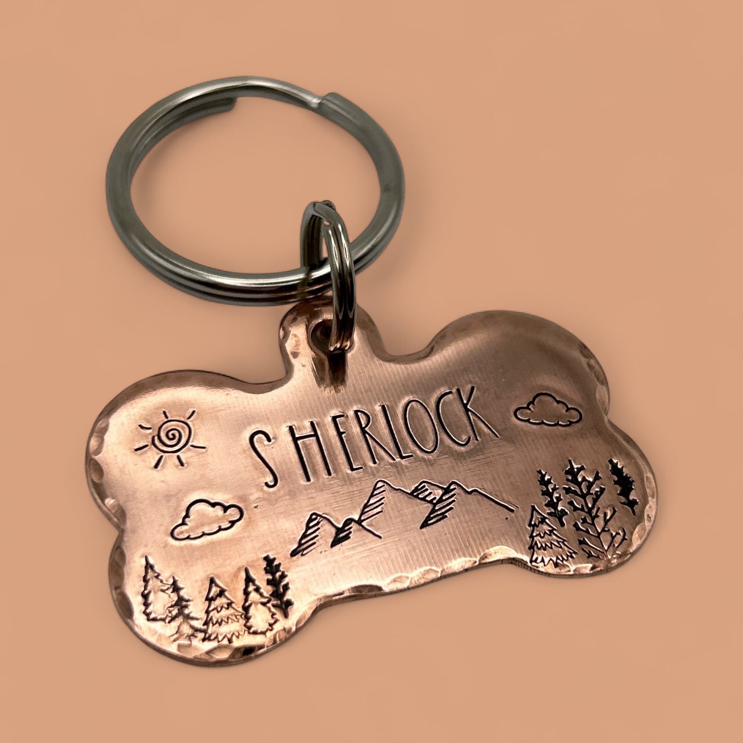 Médaille de Chien Personnalisée, Médaillon pour Chien Personnalisable, Médaille Os Chien