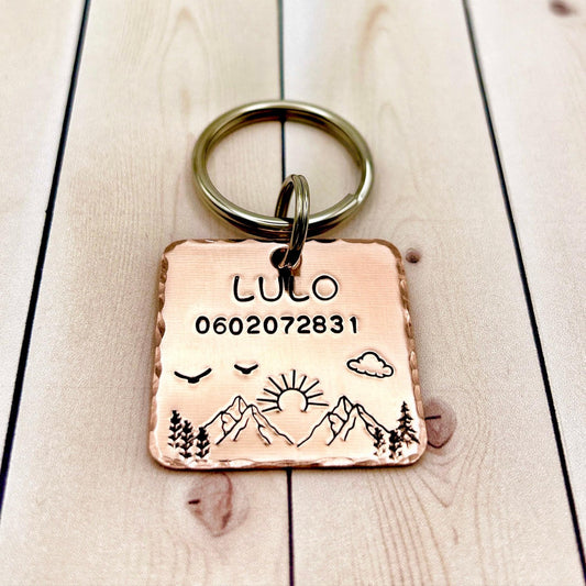 Personalized Dog Tag, Customizable Dog Tag, Copper Medallion